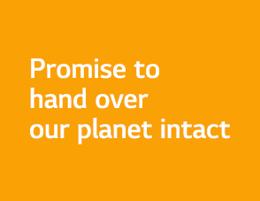 Promise to hand over our planet intact