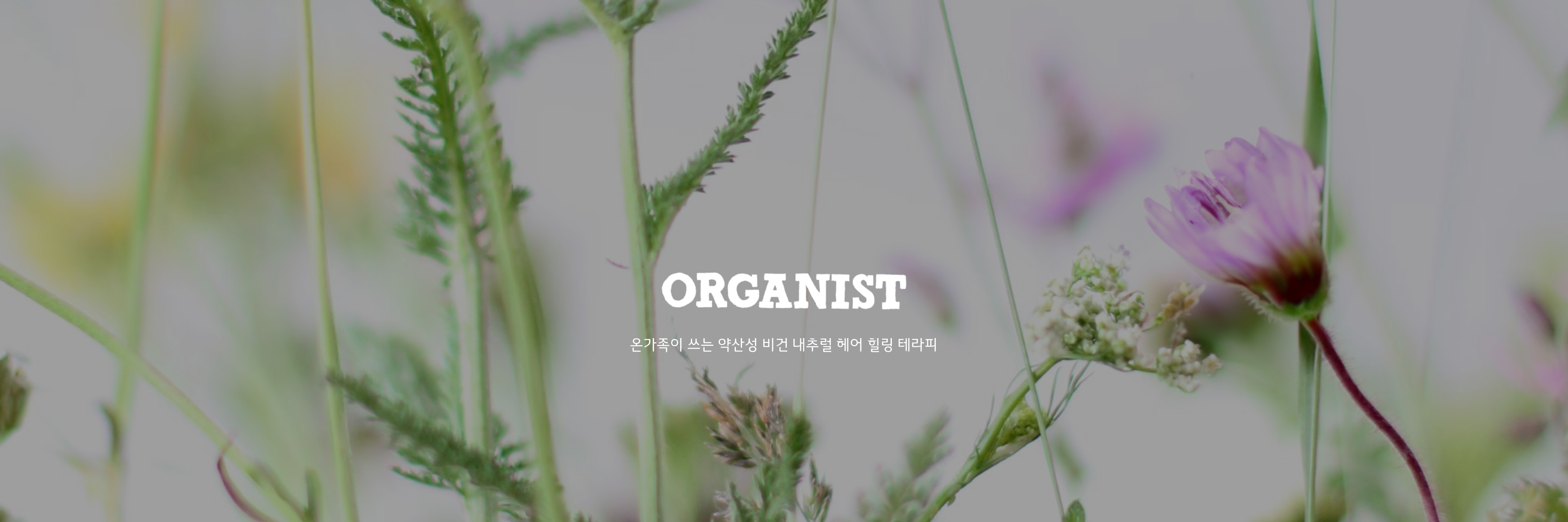ORGANIST °  ༺  ߷   ׶