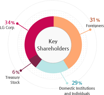 Key Shareholders Foreigners 46%, LG Corp. 34%, Domestic Institutions and Individuals 14%, Treasury Stock  6%